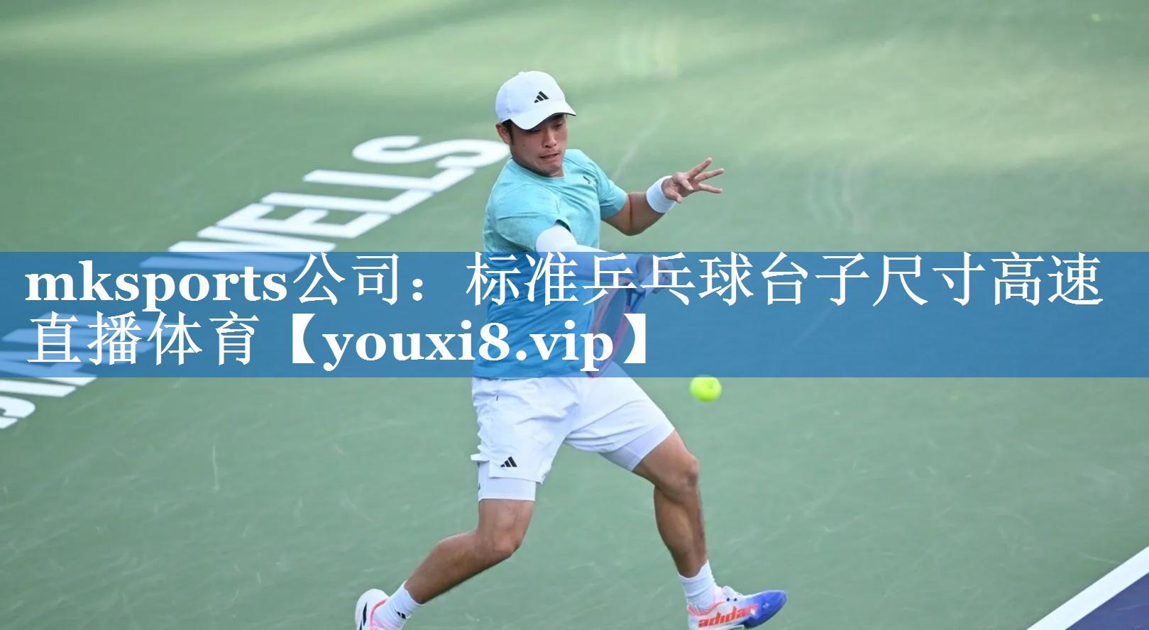 mksports公司：标准乒乓球台子尺寸高速直播体育
