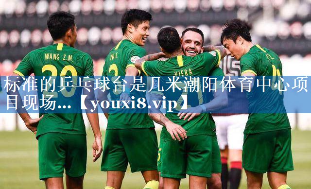 标准的乒乓球台是几米潮阳体育中心项目现场…