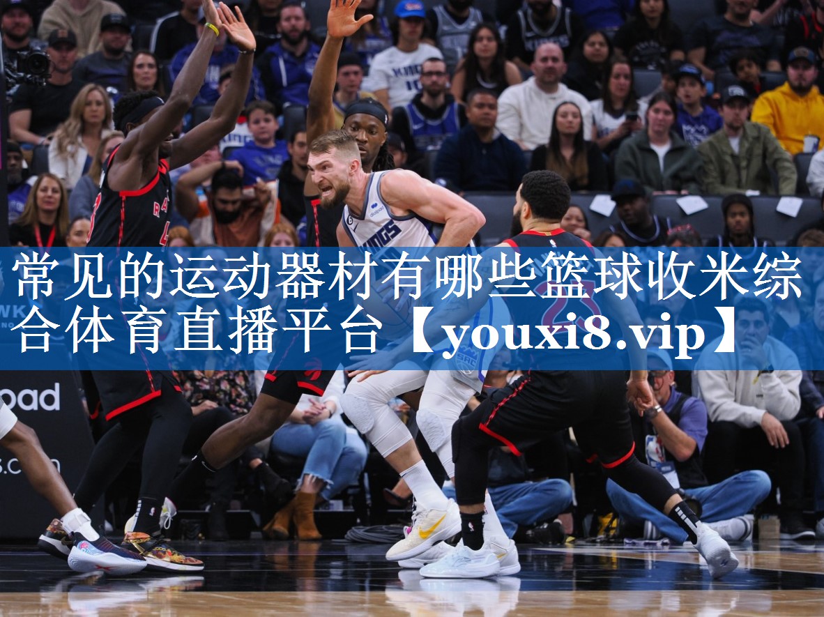常见的运动器材有哪些篮球收米综合体育直播平台