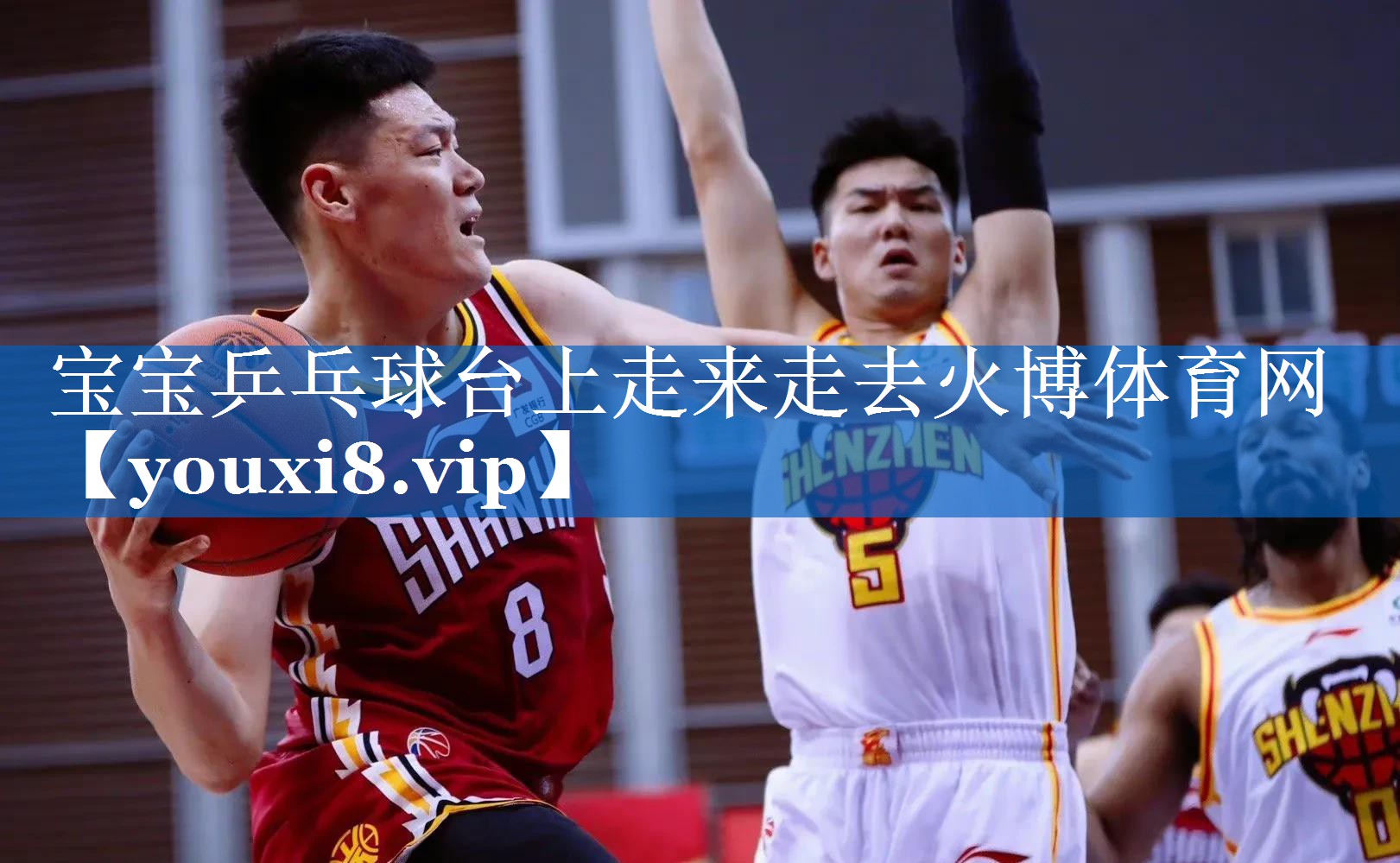 宝宝乒乓球台上走来走去火博体育网