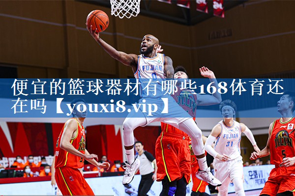 便宜的篮球器材有哪些168体育还在吗