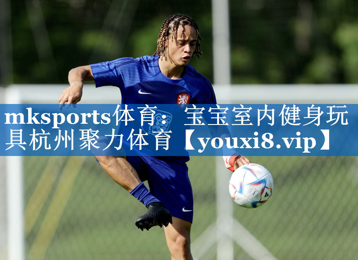mksports体育：宝宝室内健身玩具杭州聚力体育