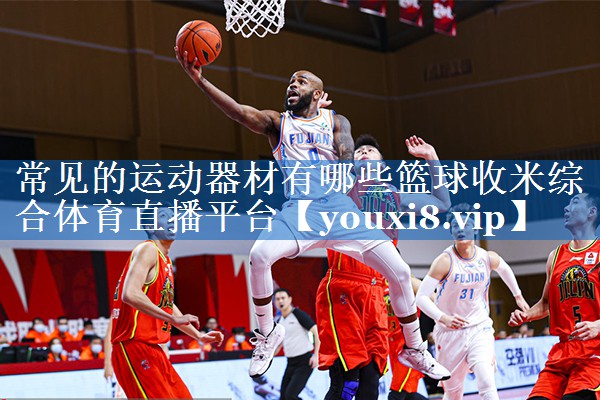常见的运动器材有哪些篮球收米综合体育直播平台