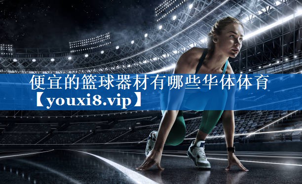 便宜的篮球器材有哪些华体体育