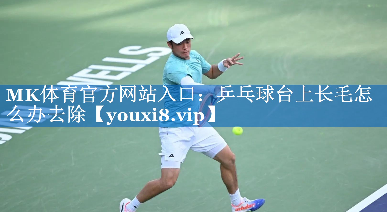 乒乓球台上长毛怎么办去除 乒乓球台上长毛怎么办去除