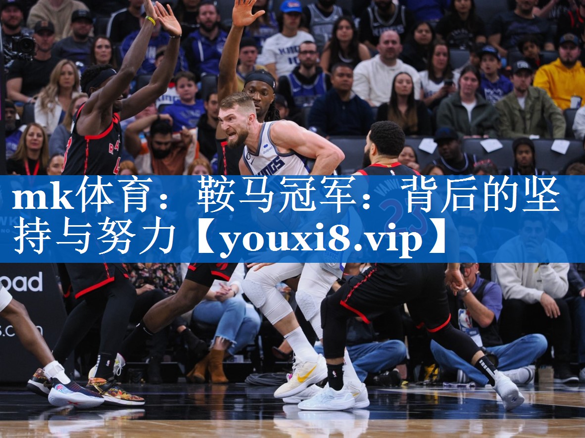 鞍马冠军:背后的坚持与努力 鞍马冠军:背后的坚持与努力