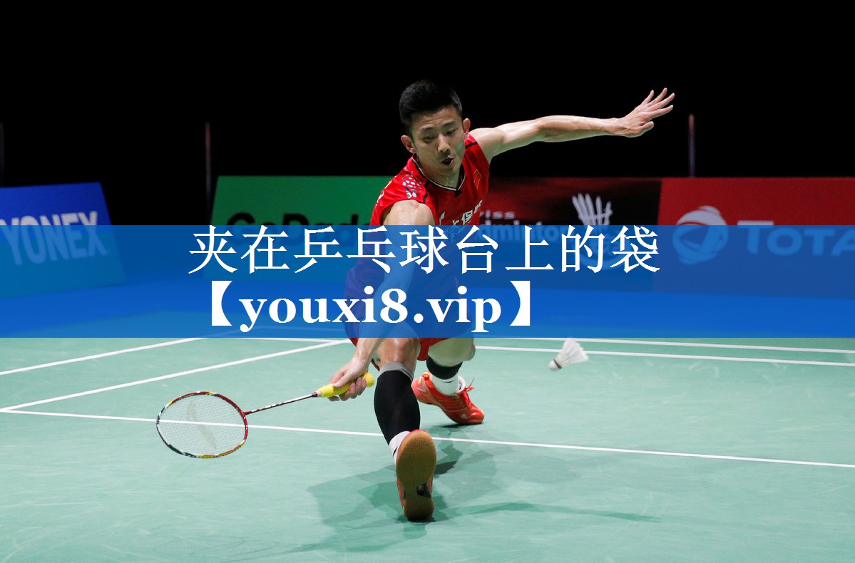 夹在乒乓球台上的袋 夹在乒乓球台上的袋